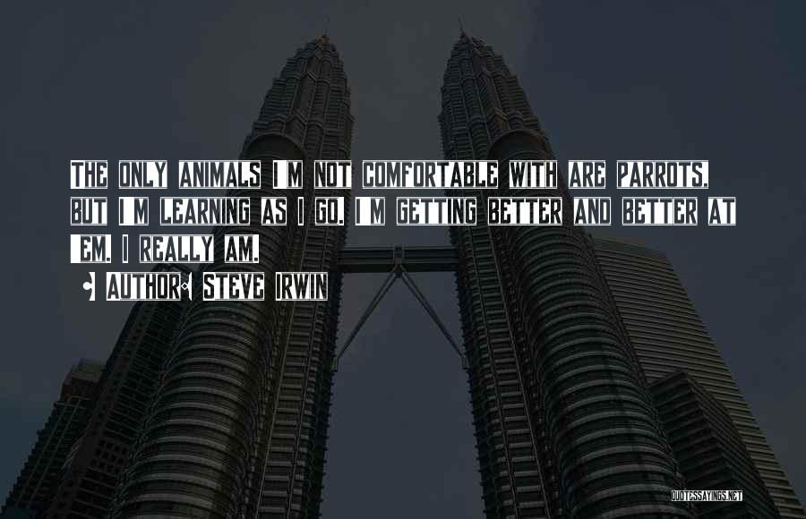 Steve Irwin Quotes: The Only Animals I'm Not Comfortable With Are Parrots, But I'm Learning As I Go. I'm Getting Better And Better