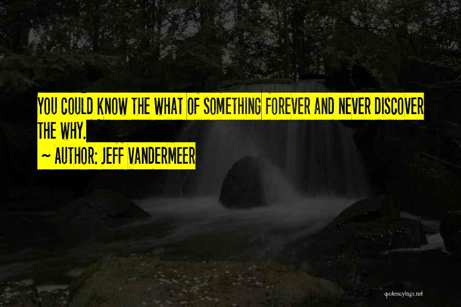 23387353 Quotes By Jeff VanderMeer