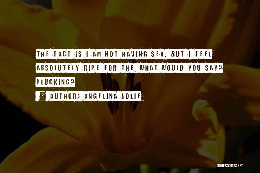 Angelina Jolie Quotes: The Fact Is I Am Not Having Sex. But I Feel Absolutely Ripe For The, What Would You Say? Plucking?