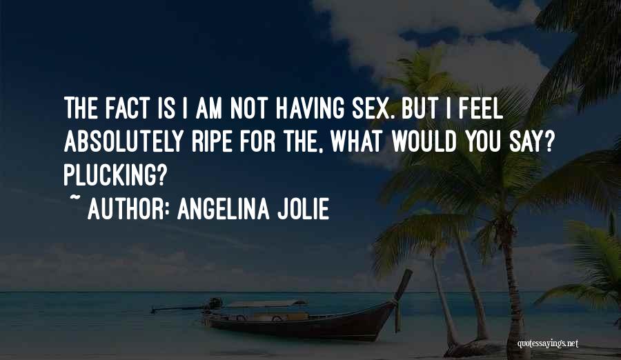 Angelina Jolie Quotes: The Fact Is I Am Not Having Sex. But I Feel Absolutely Ripe For The, What Would You Say? Plucking?
