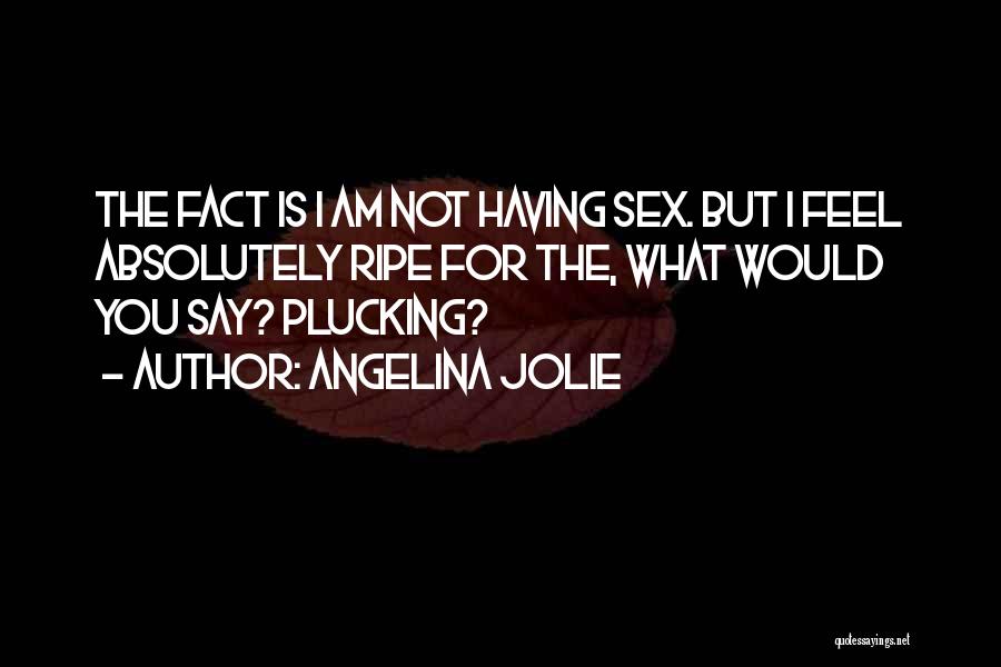 Angelina Jolie Quotes: The Fact Is I Am Not Having Sex. But I Feel Absolutely Ripe For The, What Would You Say? Plucking?