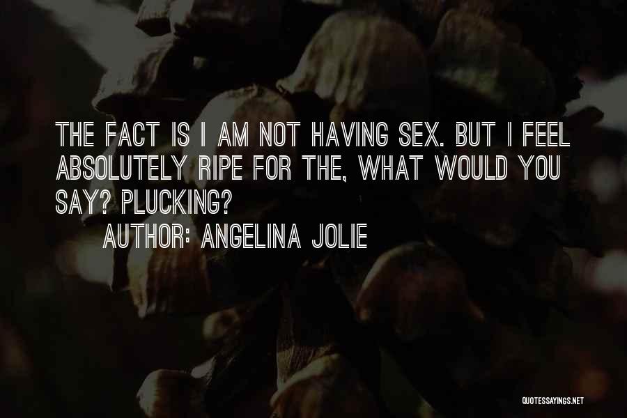 Angelina Jolie Quotes: The Fact Is I Am Not Having Sex. But I Feel Absolutely Ripe For The, What Would You Say? Plucking?