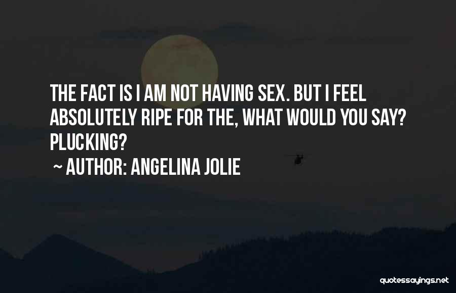 Angelina Jolie Quotes: The Fact Is I Am Not Having Sex. But I Feel Absolutely Ripe For The, What Would You Say? Plucking?