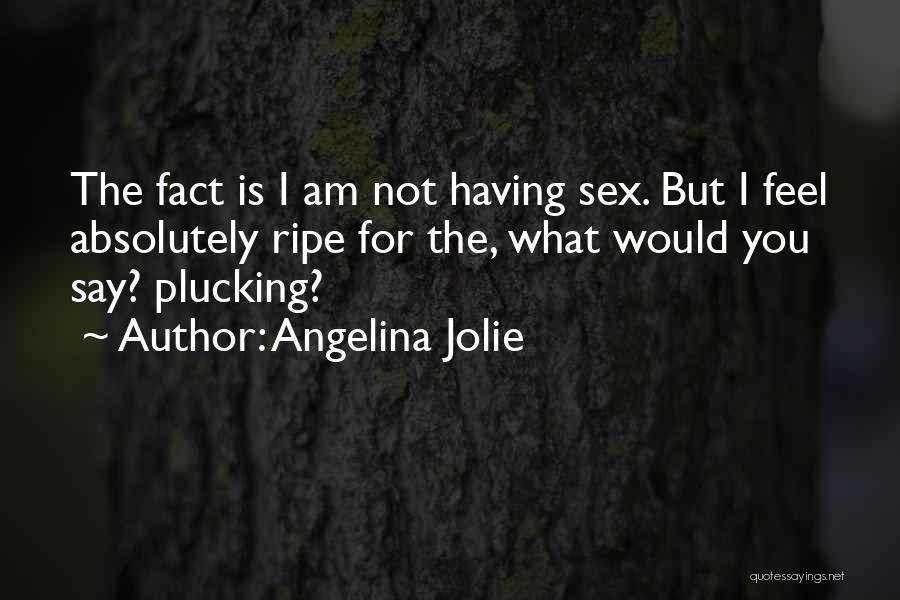 Angelina Jolie Quotes: The Fact Is I Am Not Having Sex. But I Feel Absolutely Ripe For The, What Would You Say? Plucking?