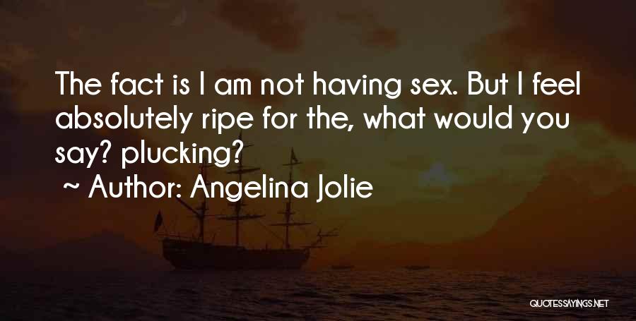 Angelina Jolie Quotes: The Fact Is I Am Not Having Sex. But I Feel Absolutely Ripe For The, What Would You Say? Plucking?