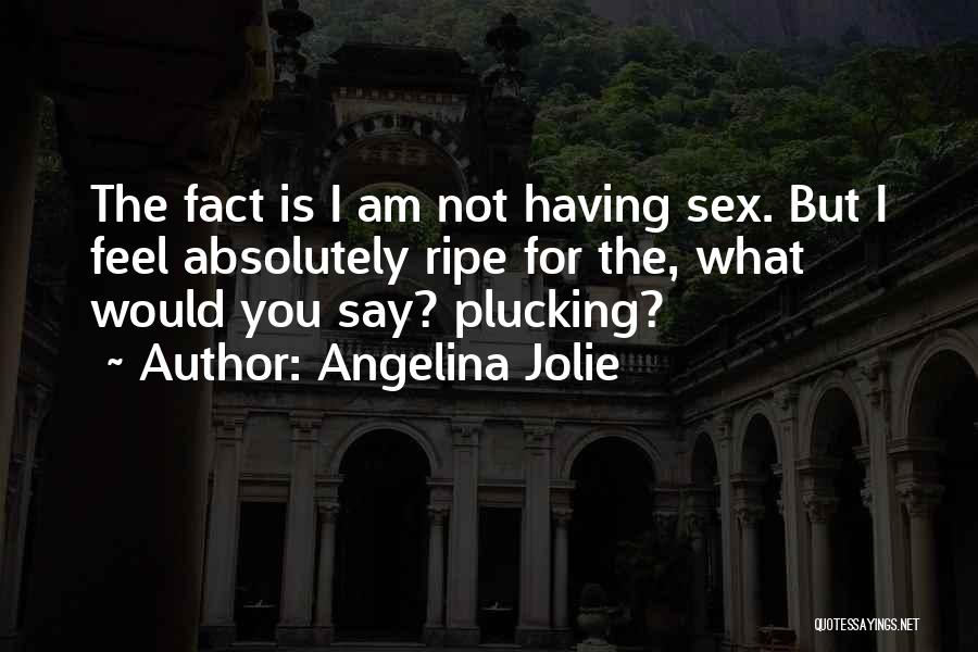 Angelina Jolie Quotes: The Fact Is I Am Not Having Sex. But I Feel Absolutely Ripe For The, What Would You Say? Plucking?