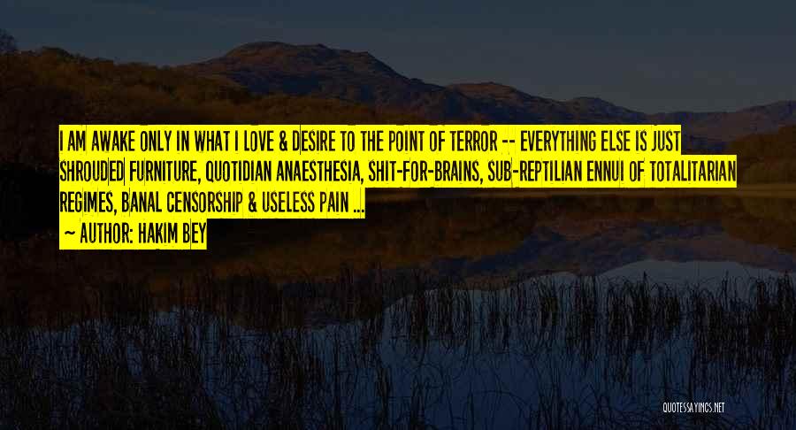 Hakim Bey Quotes: I Am Awake Only In What I Love & Desire To The Point Of Terror -- Everything Else Is Just