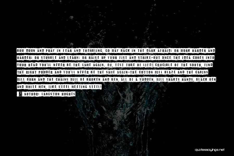 Langston Hughes Quotes: Bow Down And Pray In Fear And Trembling, Go Way Back In The Dark Afraid; Or Work Harder And Harder;