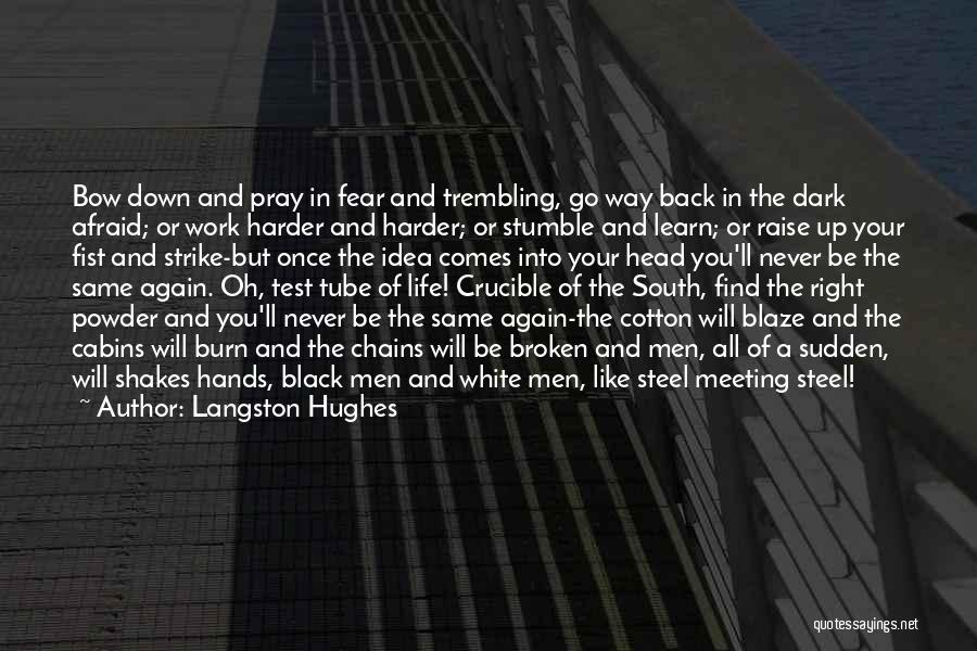 Langston Hughes Quotes: Bow Down And Pray In Fear And Trembling, Go Way Back In The Dark Afraid; Or Work Harder And Harder;