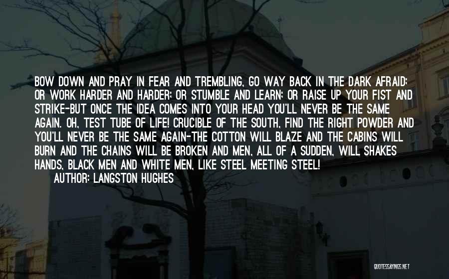 Langston Hughes Quotes: Bow Down And Pray In Fear And Trembling, Go Way Back In The Dark Afraid; Or Work Harder And Harder;