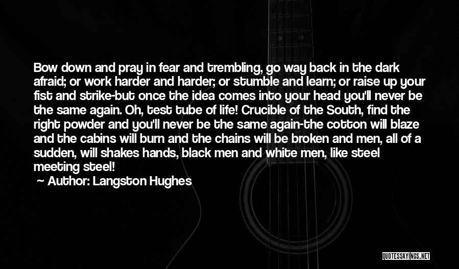 Langston Hughes Quotes: Bow Down And Pray In Fear And Trembling, Go Way Back In The Dark Afraid; Or Work Harder And Harder;