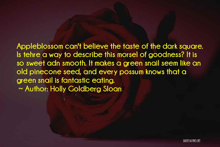 Holly Goldberg Sloan Quotes: Appleblossom Can't Believe The Taste Of The Dark Square. Is Tehre A Way To Describe This Morsel Of Goodness? It