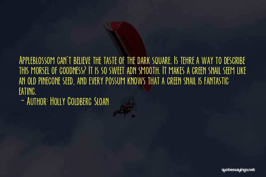 Holly Goldberg Sloan Quotes: Appleblossom Can't Believe The Taste Of The Dark Square. Is Tehre A Way To Describe This Morsel Of Goodness? It