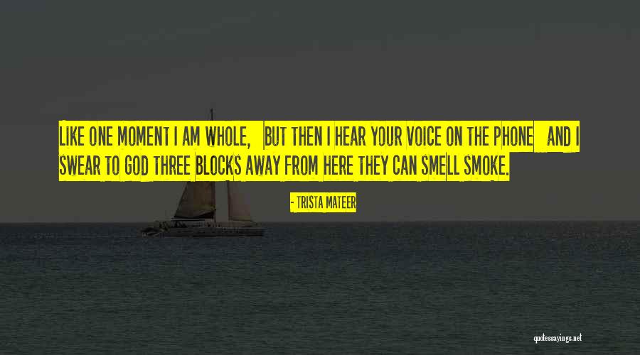 235 Quotes By Trista Mateer 235 Quotes By Trista Mateer