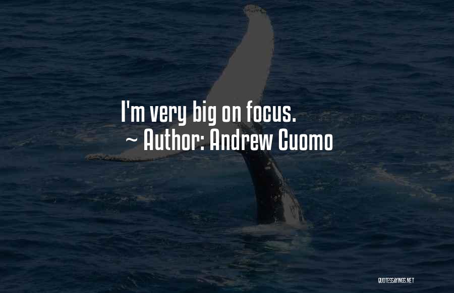 Andrew Cuomo Quotes: I'm Very Big On Focus.