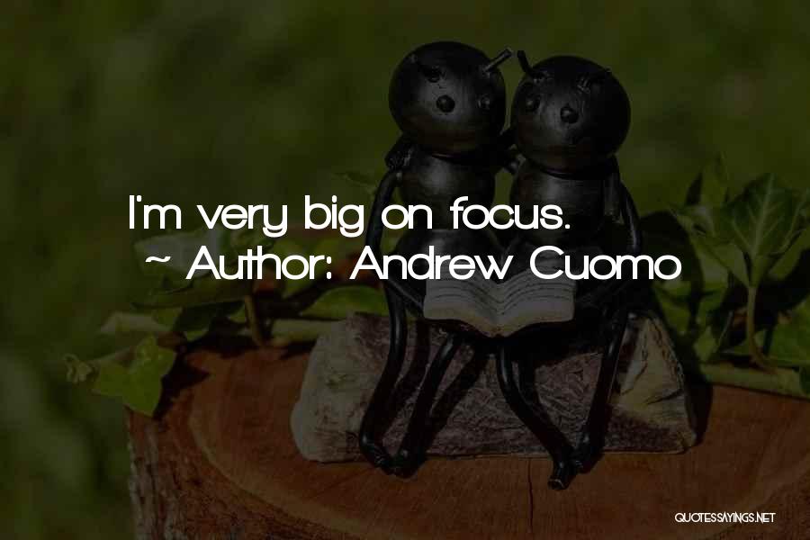 Andrew Cuomo Quotes: I'm Very Big On Focus.