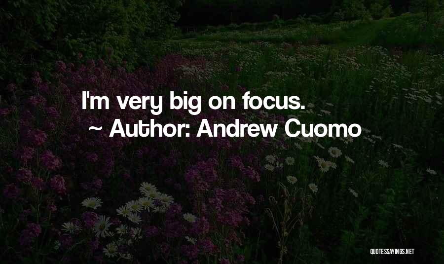 Andrew Cuomo Quotes: I'm Very Big On Focus.