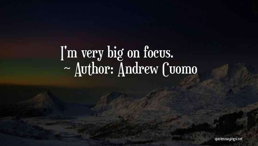 Andrew Cuomo Quotes: I'm Very Big On Focus.