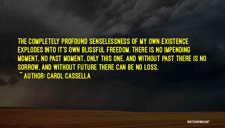 Carol Cassella Quotes: The Completely Profound Senselessness Of My Own Existence Explodes Into It's Own Blissful Freedom. There Is No Impending Moment, No