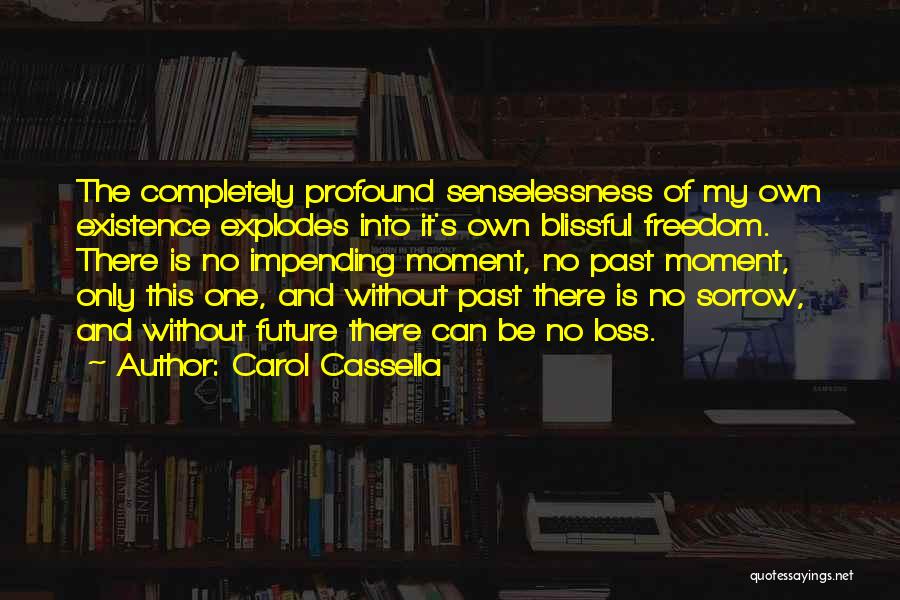 Carol Cassella Quotes: The Completely Profound Senselessness Of My Own Existence Explodes Into It's Own Blissful Freedom. There Is No Impending Moment, No