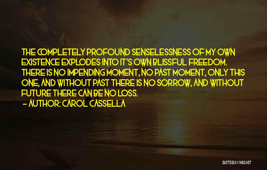 Carol Cassella Quotes: The Completely Profound Senselessness Of My Own Existence Explodes Into It's Own Blissful Freedom. There Is No Impending Moment, No