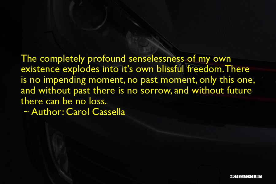 Carol Cassella Quotes: The Completely Profound Senselessness Of My Own Existence Explodes Into It's Own Blissful Freedom. There Is No Impending Moment, No