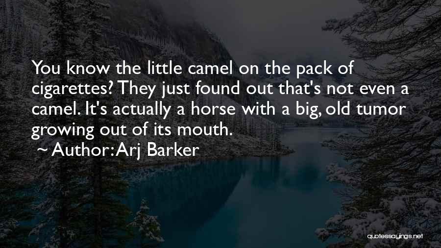 Arj Barker Quotes: You Know The Little Camel On The Pack Of Cigarettes? They Just Found Out That's Not Even A Camel. It's