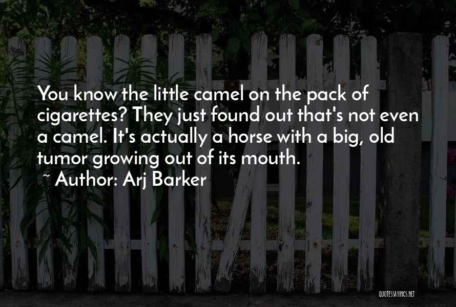 Arj Barker Quotes: You Know The Little Camel On The Pack Of Cigarettes? They Just Found Out That's Not Even A Camel. It's
