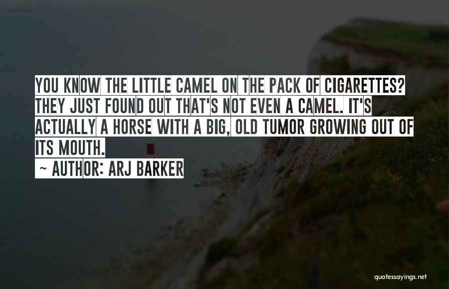 Arj Barker Quotes: You Know The Little Camel On The Pack Of Cigarettes? They Just Found Out That's Not Even A Camel. It's