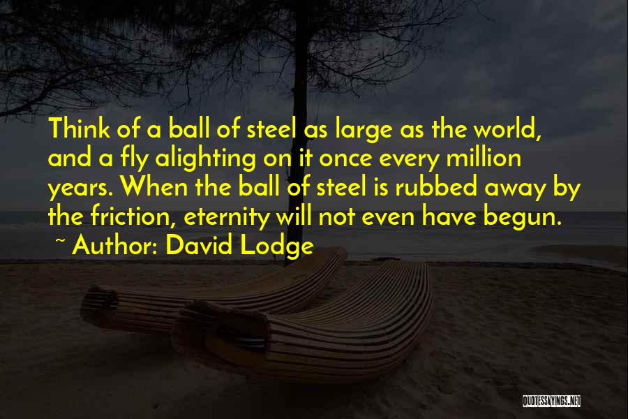 David Lodge Quotes: Think Of A Ball Of Steel As Large As The World, And A Fly Alighting On It Once Every Million