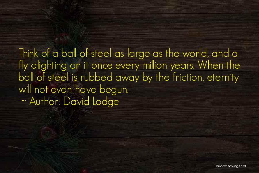 David Lodge Quotes: Think Of A Ball Of Steel As Large As The World, And A Fly Alighting On It Once Every Million