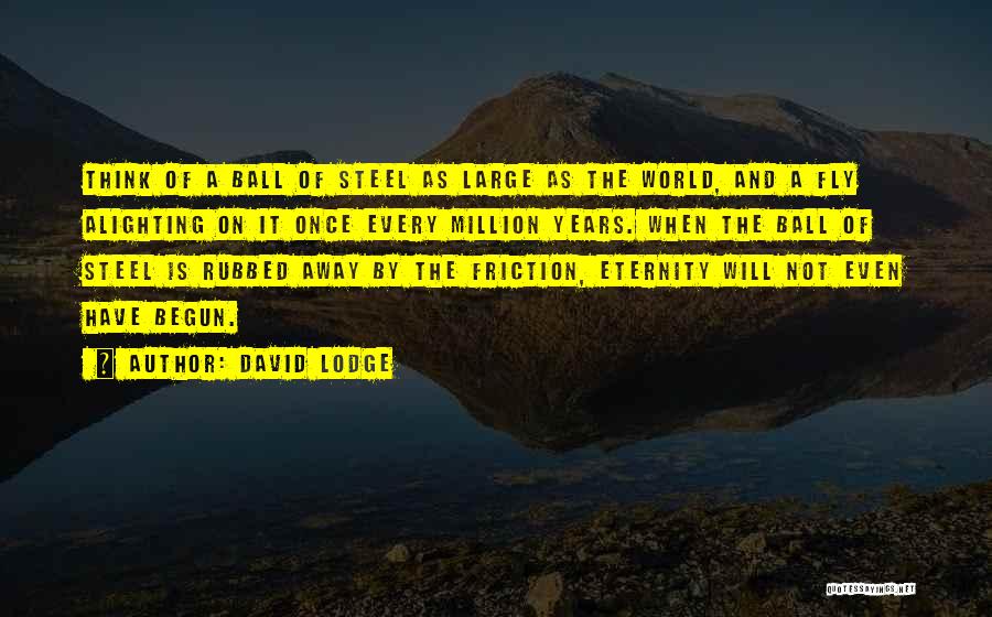 David Lodge Quotes: Think Of A Ball Of Steel As Large As The World, And A Fly Alighting On It Once Every Million