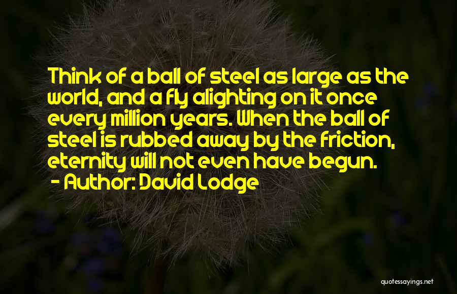 David Lodge Quotes: Think Of A Ball Of Steel As Large As The World, And A Fly Alighting On It Once Every Million