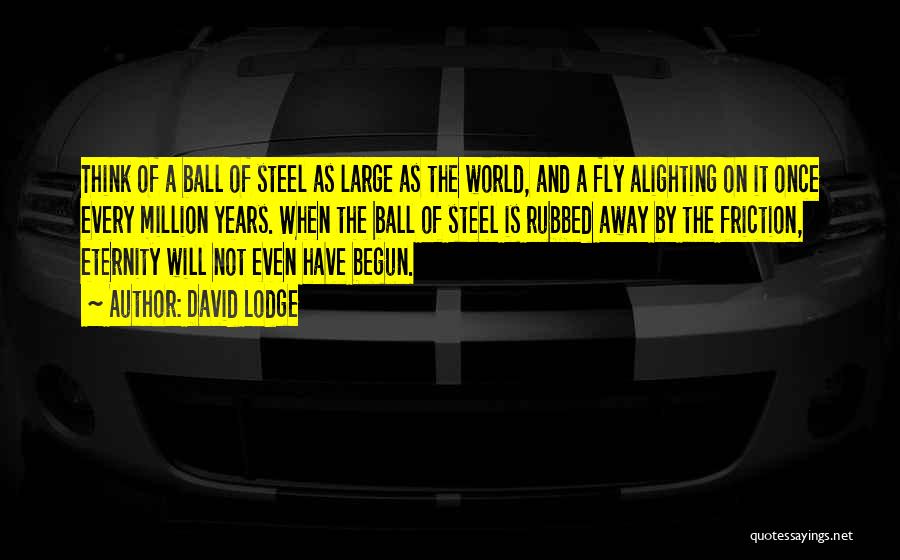 David Lodge Quotes: Think Of A Ball Of Steel As Large As The World, And A Fly Alighting On It Once Every Million