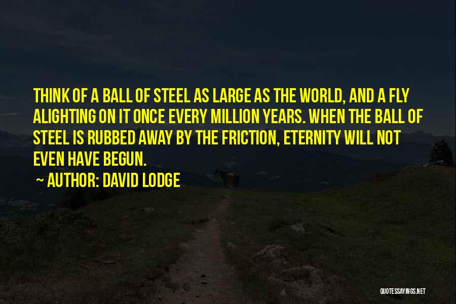 David Lodge Quotes: Think Of A Ball Of Steel As Large As The World, And A Fly Alighting On It Once Every Million