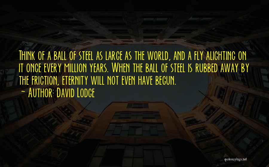 David Lodge Quotes: Think Of A Ball Of Steel As Large As The World, And A Fly Alighting On It Once Every Million