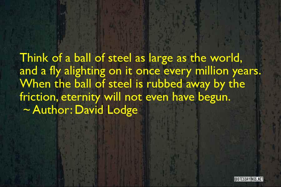 David Lodge Quotes: Think Of A Ball Of Steel As Large As The World, And A Fly Alighting On It Once Every Million