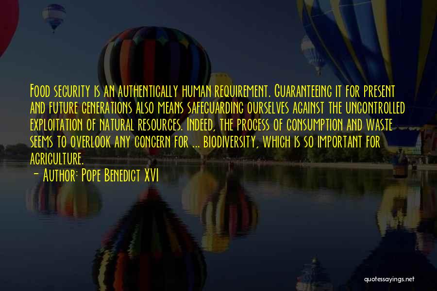 Pope Benedict XVI Quotes: Food Security Is An Authentically Human Requirement. Guaranteeing It For Present And Future Generations Also Means Safeguarding Ourselves Against The