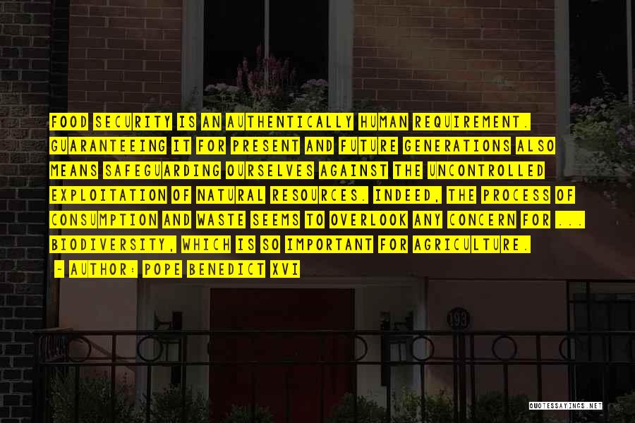 Pope Benedict XVI Quotes: Food Security Is An Authentically Human Requirement. Guaranteeing It For Present And Future Generations Also Means Safeguarding Ourselves Against The