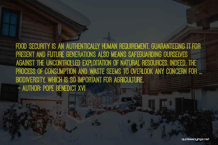 Pope Benedict XVI Quotes: Food Security Is An Authentically Human Requirement. Guaranteeing It For Present And Future Generations Also Means Safeguarding Ourselves Against The