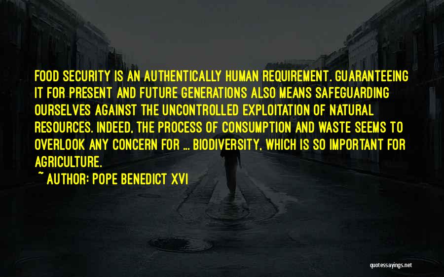 Pope Benedict XVI Quotes: Food Security Is An Authentically Human Requirement. Guaranteeing It For Present And Future Generations Also Means Safeguarding Ourselves Against The