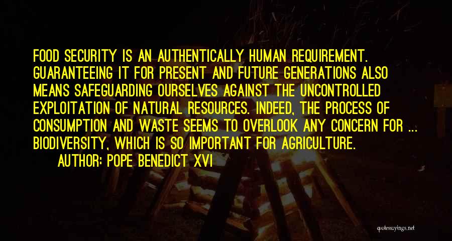 Pope Benedict XVI Quotes: Food Security Is An Authentically Human Requirement. Guaranteeing It For Present And Future Generations Also Means Safeguarding Ourselves Against The