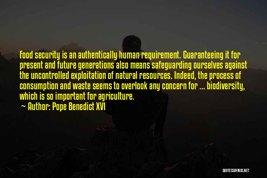 Pope Benedict XVI Quotes: Food Security Is An Authentically Human Requirement. Guaranteeing It For Present And Future Generations Also Means Safeguarding Ourselves Against The