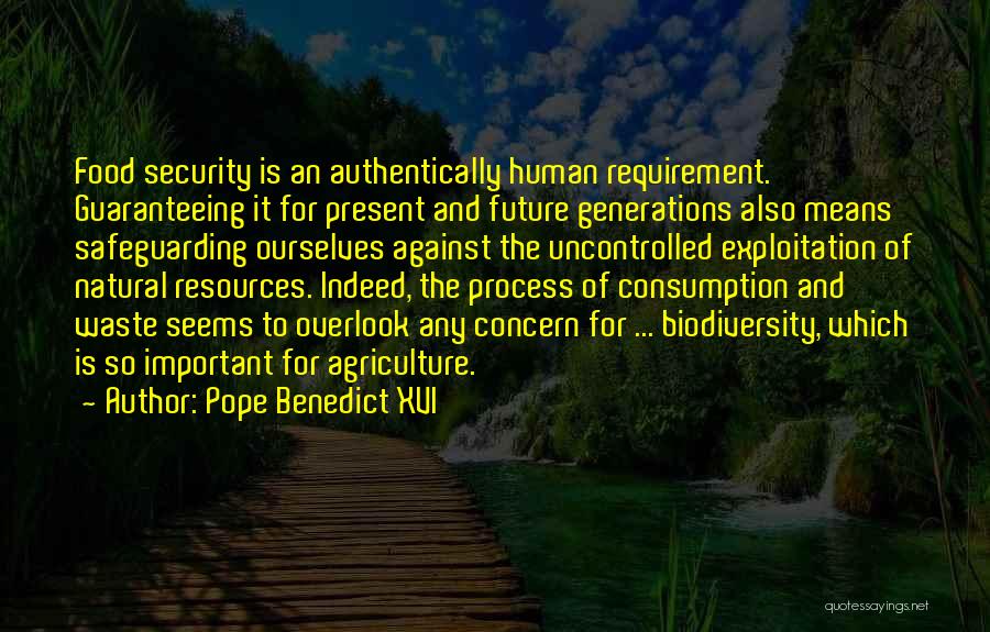 Pope Benedict XVI Quotes: Food Security Is An Authentically Human Requirement. Guaranteeing It For Present And Future Generations Also Means Safeguarding Ourselves Against The