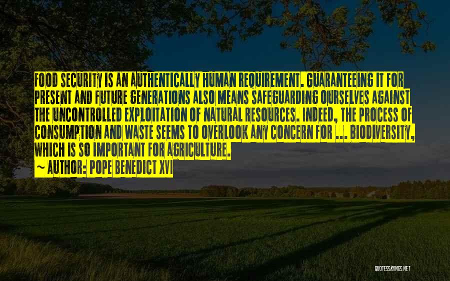 Pope Benedict XVI Quotes: Food Security Is An Authentically Human Requirement. Guaranteeing It For Present And Future Generations Also Means Safeguarding Ourselves Against The