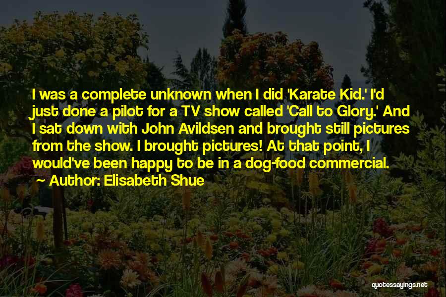 Elisabeth Shue Quotes: I Was A Complete Unknown When I Did 'karate Kid.' I'd Just Done A Pilot For A Tv Show Called