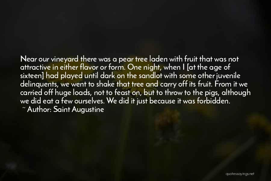 Saint Augustine Quotes: Near Our Vineyard There Was A Pear Tree Laden With Fruit That Was Not Attractive In Either Flavor Or Form.
