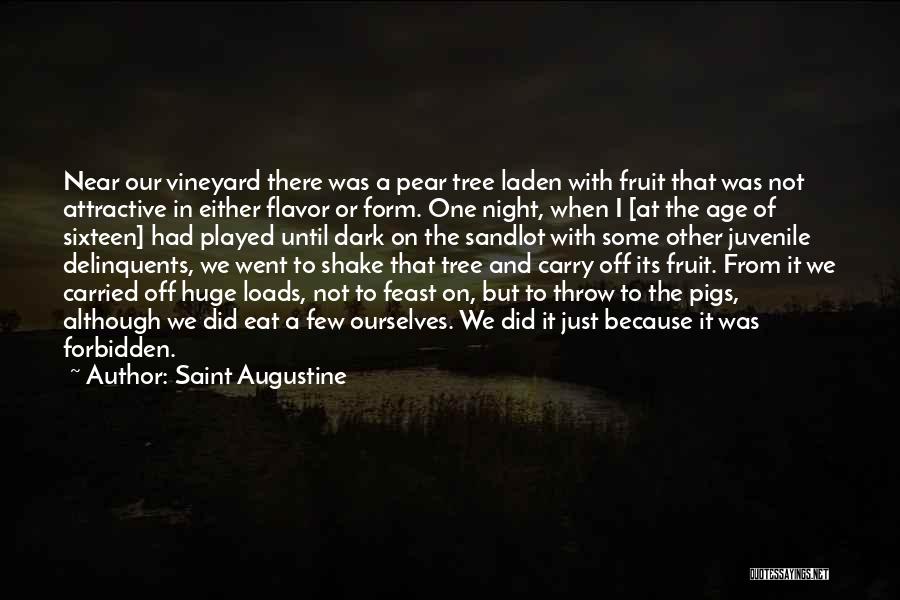 Saint Augustine Quotes: Near Our Vineyard There Was A Pear Tree Laden With Fruit That Was Not Attractive In Either Flavor Or Form.