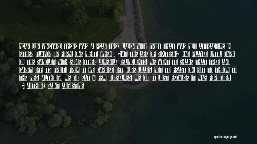 Saint Augustine Quotes: Near Our Vineyard There Was A Pear Tree Laden With Fruit That Was Not Attractive In Either Flavor Or Form.