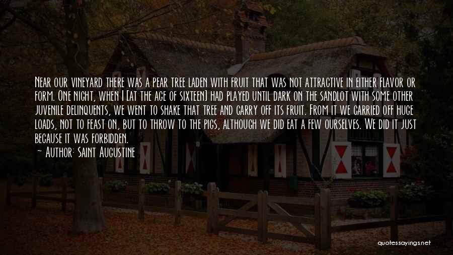 Saint Augustine Quotes: Near Our Vineyard There Was A Pear Tree Laden With Fruit That Was Not Attractive In Either Flavor Or Form.